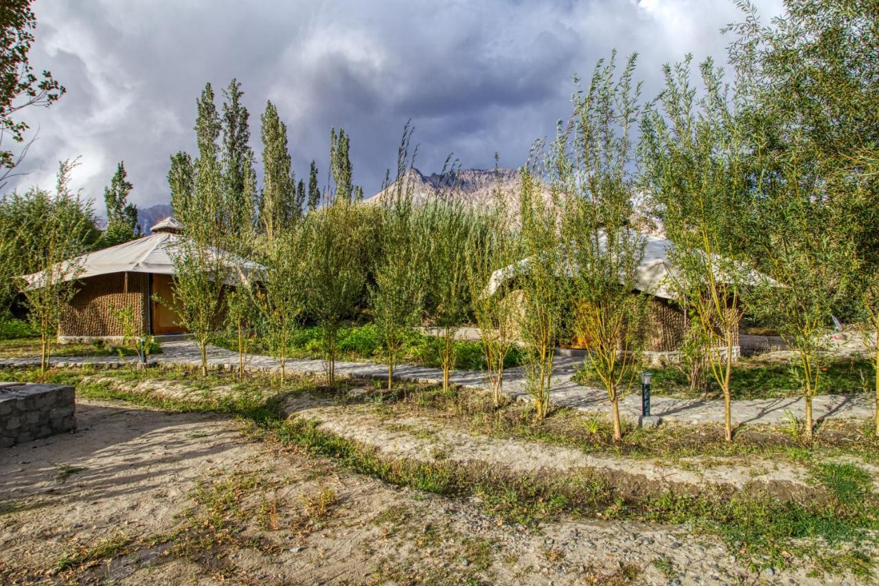 Chalet Seabuckthorn - Hunder Hundar Exterior photo